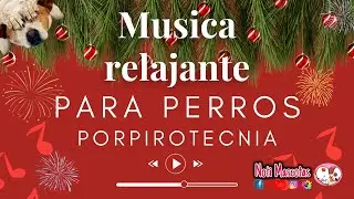 Melodías Relajantes para Perros en Noches de Pirotecnia #noalapirotecnia #amolosperros