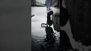 Life May Suck Now. #youtubechamps #shorts #motivation #motivational #quotes #shortsafrica