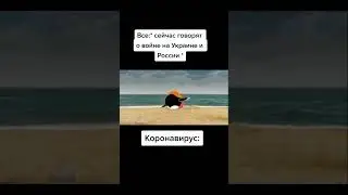 Мемы по ТикТоку #984