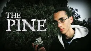 The Pine (Short Film)
