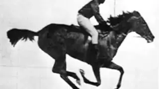 The First Motion Picture Ever Made (1878) The Horse In Motion