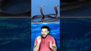 BIGGEST Mistake in SCHOOL! HOCKEY is NOT The National Sports of INDIA 