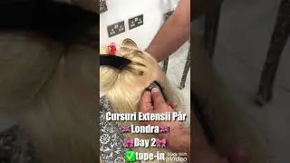 Curs Extensii Pãr(Londra)