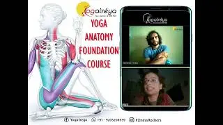 Yoga Anatomy Course | Learn the Yoga Functional Anatomy in an easy way