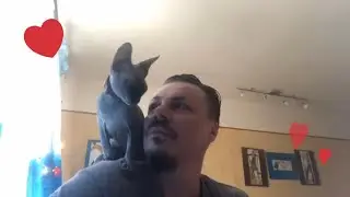 👉Сергей Симонов и его Любимая Кошечка😻