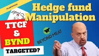 How Hedge Funds manipulate the market: Are TTCF & BYND targeted?