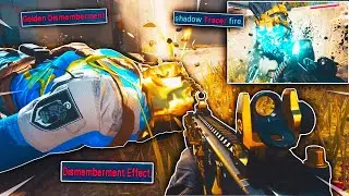 ALL DISMEMBERMENT EFFECT WEAPONS IN MODERN WARFARE! UPDATED 