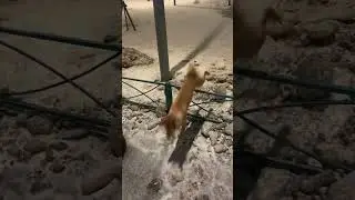 К прыжку готовился очень долго 
