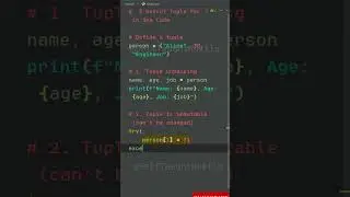 3 Useful Tuple Features in One Code in Python 