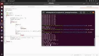 ch3 C loops