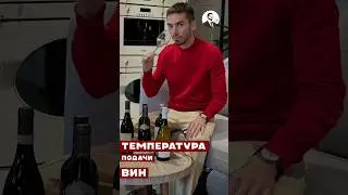 Правильная температура подачи различных вин 