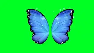 Butterfly green screen | support this channel @UniqueTweencraft   #greenscreen