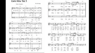 ĐC Lc 1 LINH HỒN TÔI 5