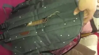 KAUKKO K8008 Backpack