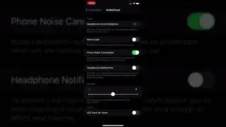 How to change Audio Settings iPhone