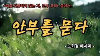 안부를 묻다 - 노희경