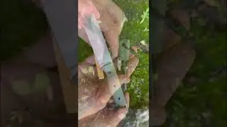 Check Out This Quality & Affordable Survival Knife #knife #edc #edcknife  #knives #survival