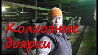 Колхозные доярки. Шабалинский район