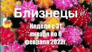 Близнецы. Таро-прогноз на неделю с 31 января по 6 февраля 2022 года.