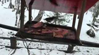 Прикармливаю лесных птиц зимой!