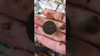копейка серебром 