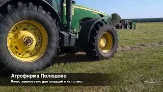 Качественное сено для лошадей и не только