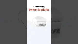 Best Buy Guide — Switch Modules