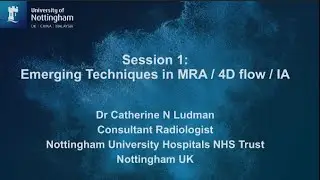 SMRA 23 Catherine Ludman