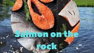 Salmon on the rock