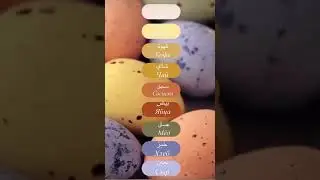 Слова на тему «завтрак» 