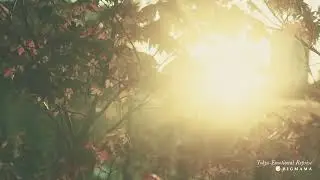 BIGMAMA "Tokyo Emotional Reprise" [Official Audio]
