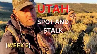 Archery Mule Deer SPOT AND STALK :Part2 (WATCH TILL END)