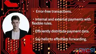 What is SAP Payment Engine?