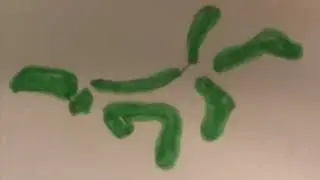 сказка про гидру -Усова Катя
