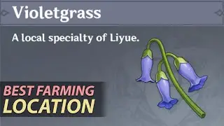 Violetgrass Best Farming Location - Genshin Impact