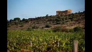 Il ruolo del marketing e della comunicazione nella crescita qualitativa del vino italiano.