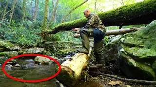 Deep in the Woods Trout Fishing and Mushroom Foraging