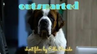 Outsmarted | Short Film