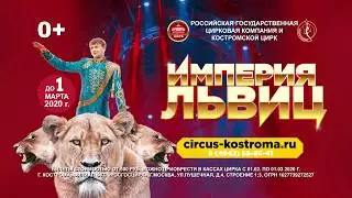 «Империя львиц» I Костромской цирк