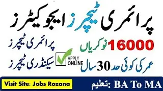 Primary & Elementary Teachers Jobs 2021-Government Schools Teachers Jobs 2021