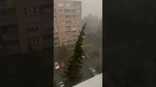 Heavy rain#shorts#rain#strom#nature#czechrepublic#naturelovers#ostrava#czechia#تمطر#مطر#