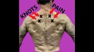 Rhomboid Pain Relief Exercises To Fix Your Upper Back