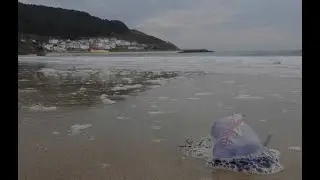 Praia de Bares - 15 de Noviembre 2024