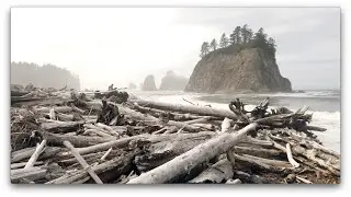 Exploring Rialto Beach | Seattle - Olympic National Park