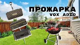 Как вести себя на шашлыках (советы дачникам) | Портативный гитарный усилитель VOX ADIO AIR GT