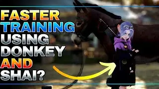 Shai Donkey Training is NOT Completely Over Powered in Black Desert