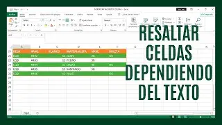 How to add color to cells depending on the text in Excel (Conditional Formatting)
