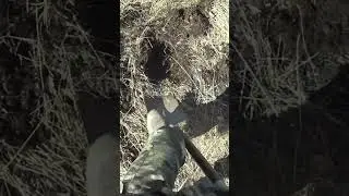 НАШЁЛ ЧТО ТО ИНТЕРЕСНОЕ!
