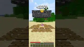 Minecraft Traps at Different -696969 IQ (World's Smallest Violin)