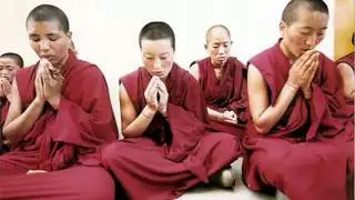 Part 6: The Pineal Gland Activation - The Mechanics of Ascension